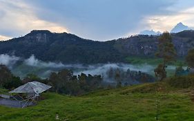 De Hobbit Tent Camping